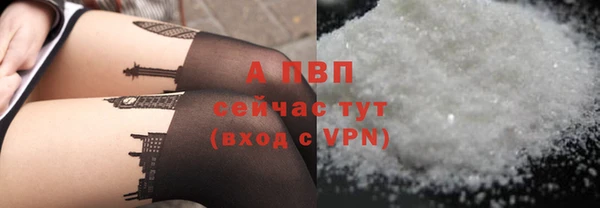крисы Магадан